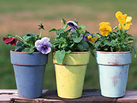 アンティーク植木鉢３点セット